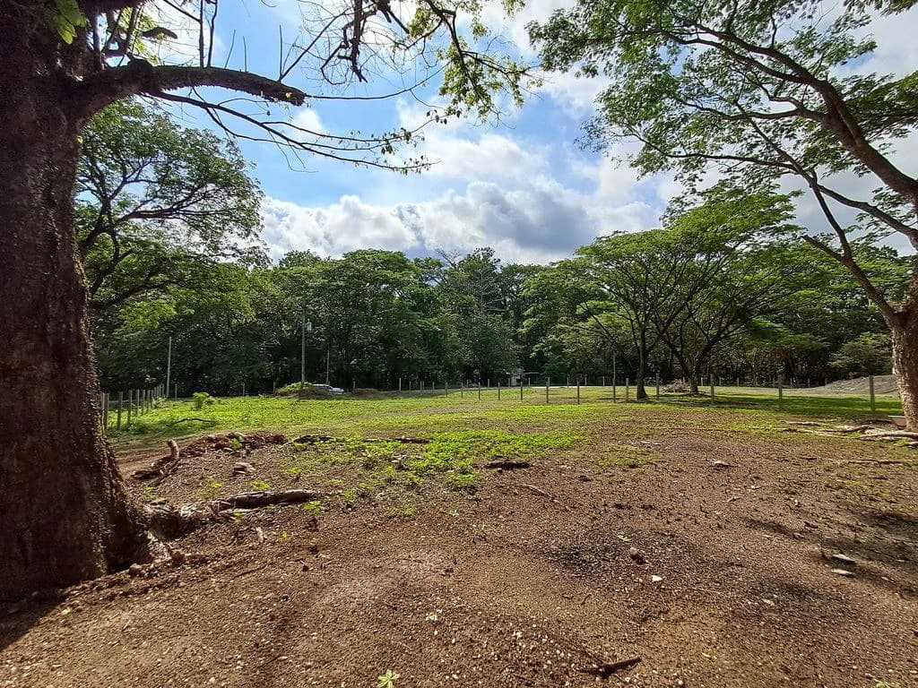 Manantial Lote: Lot Ready-To-Built Project - photo 4