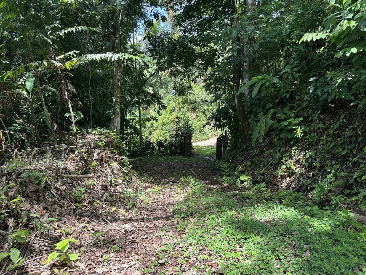 Ocean View Estate Lot with Private Waterfall – Uvita - photo 18