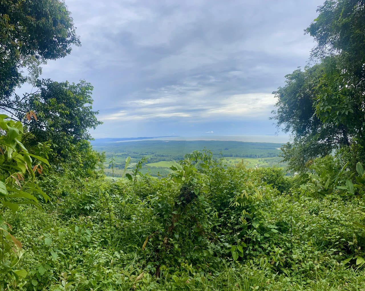 TROPICAL MASTERPIECE – 61.78 ACRES OF OCEANVIEW BLISS WITH WATERFALL: Mountain Development Parcel For Sale in Tres Rios - photo 5