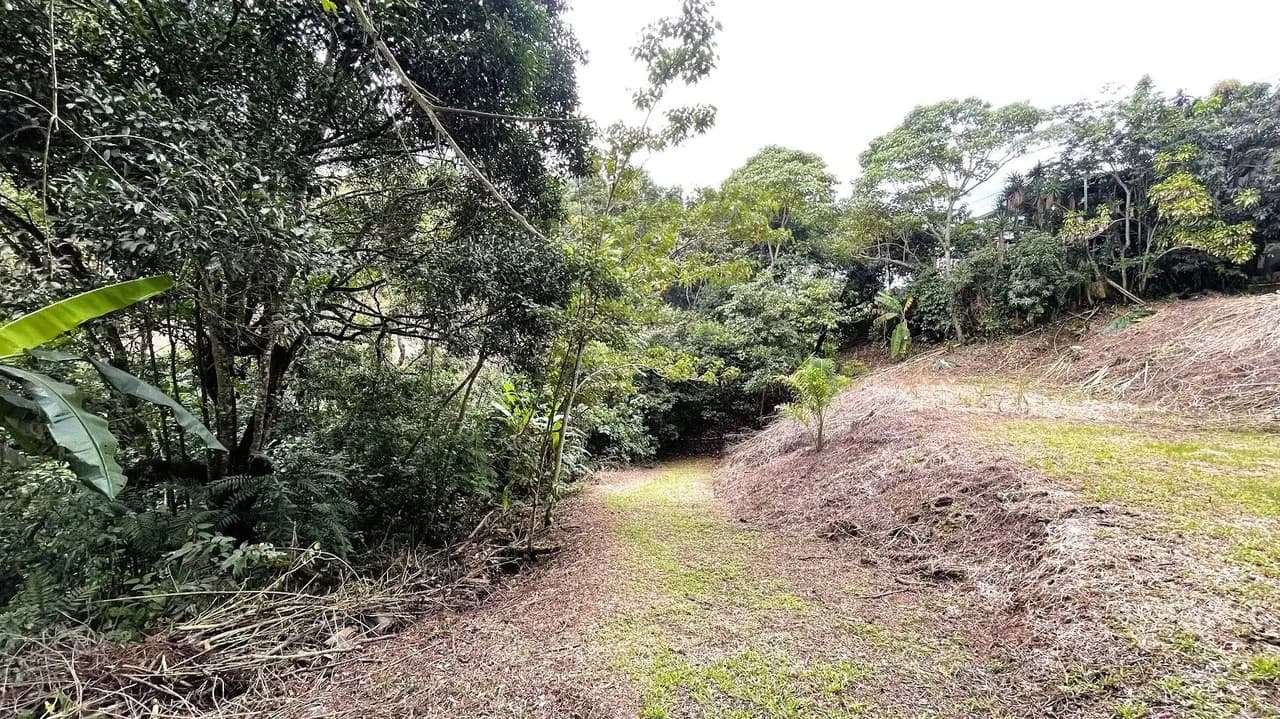 LAND FOR SALE IN SAN MIGUEL, NARANJO - photo 6