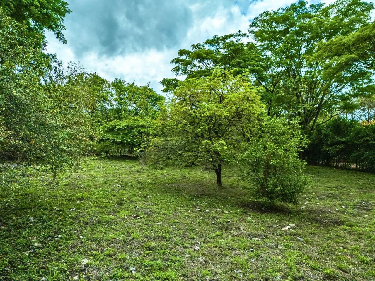 Marbella Dream Lot: 2.4 Acres of Natural Beauty Near the Beach - photo 4