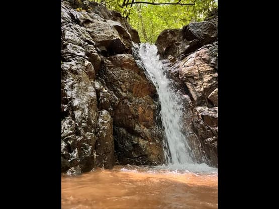 SPECTACULAR ECOLOGICAL MOUNTAIN FARM IN BIJAGUAL DE TURRUBARES - photo 21