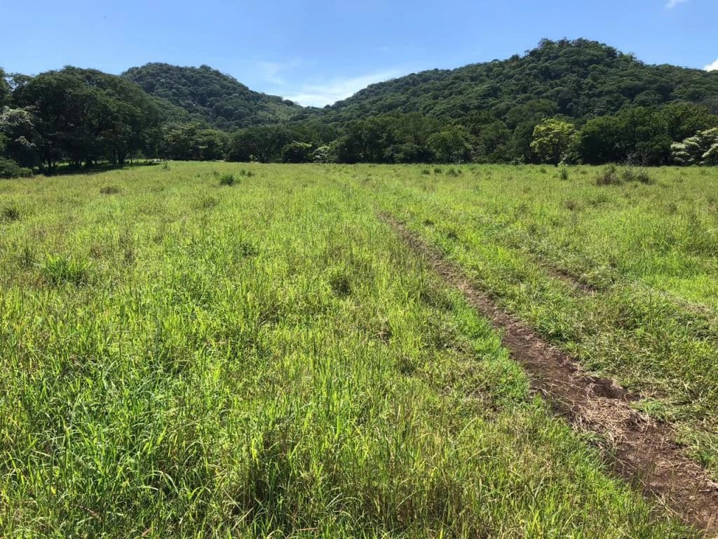 Huge dream Cattle farm for sale with 2 houses close to the Gulf of Nicoya, Guanacaste, Costa Rica - photo 36