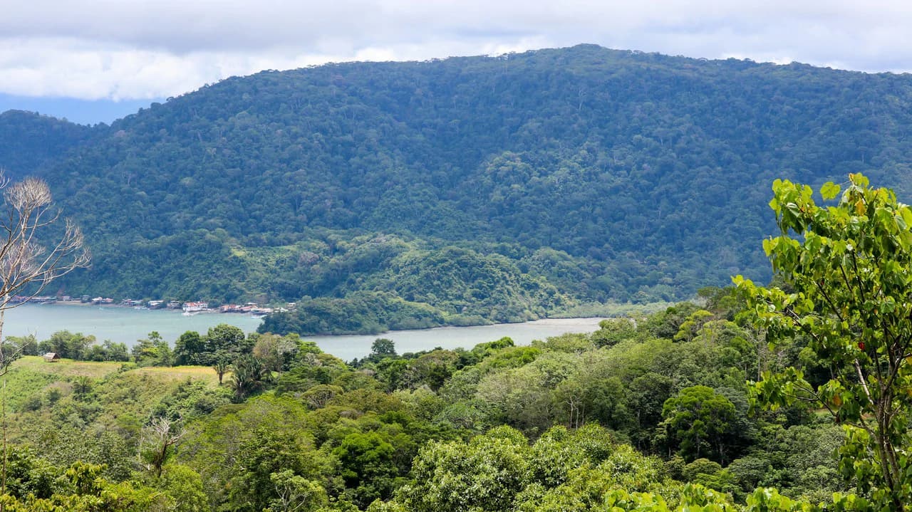 Unique Development Property Overlooking the Pristine Golfito Bay and Golfo Dulce - photo 33