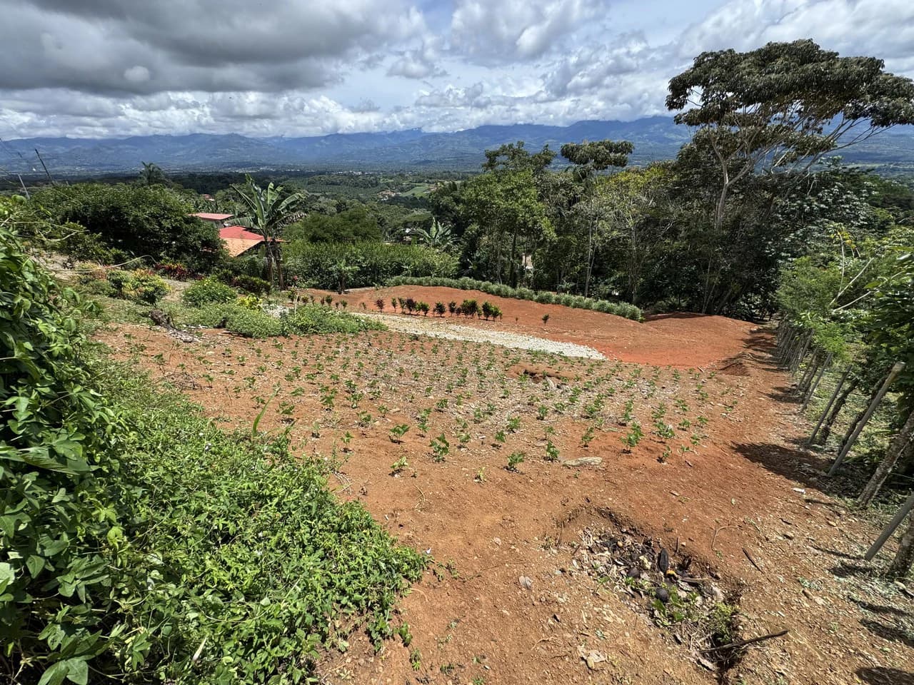 Prime 40,000 Sq. Ft. Building Lot with Mountain & Valley Views in Pérez Zeledón - photo 3
