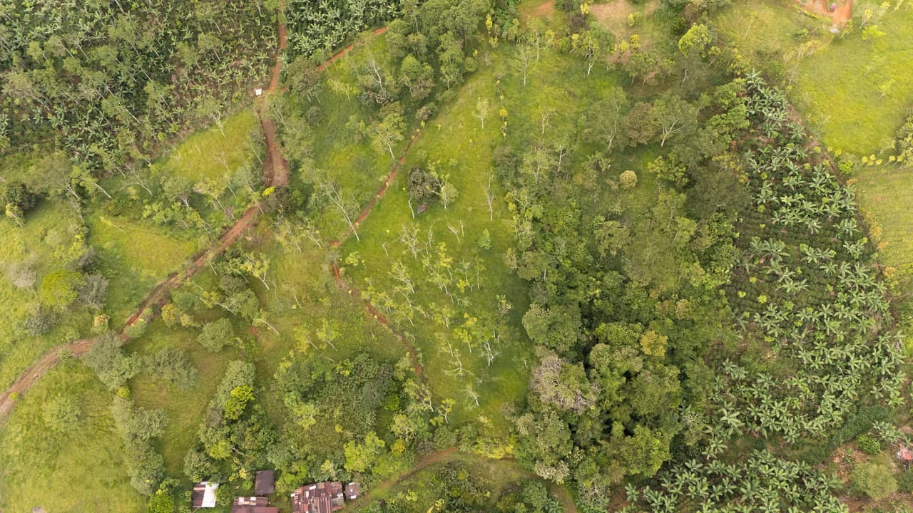 Se vende 6acres en San Antonio de Rivas, Pérez Zeledón: Countryside Home Construction Site For Sale in San Isidro del General - photo 22