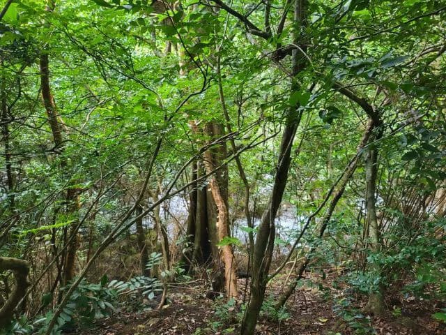 Charming property for sale in Nueva Guatemala with stunning views of the Tenorio Volcano and the beautiful green valleys - photo 13