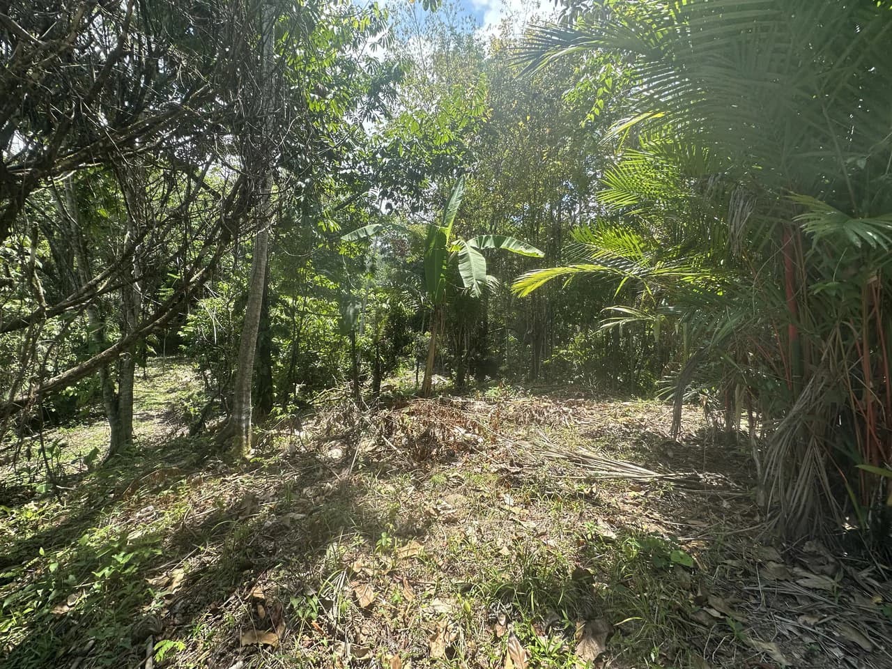 Ocean View Estate Lot with Private Waterfall – Uvita - photo 12
