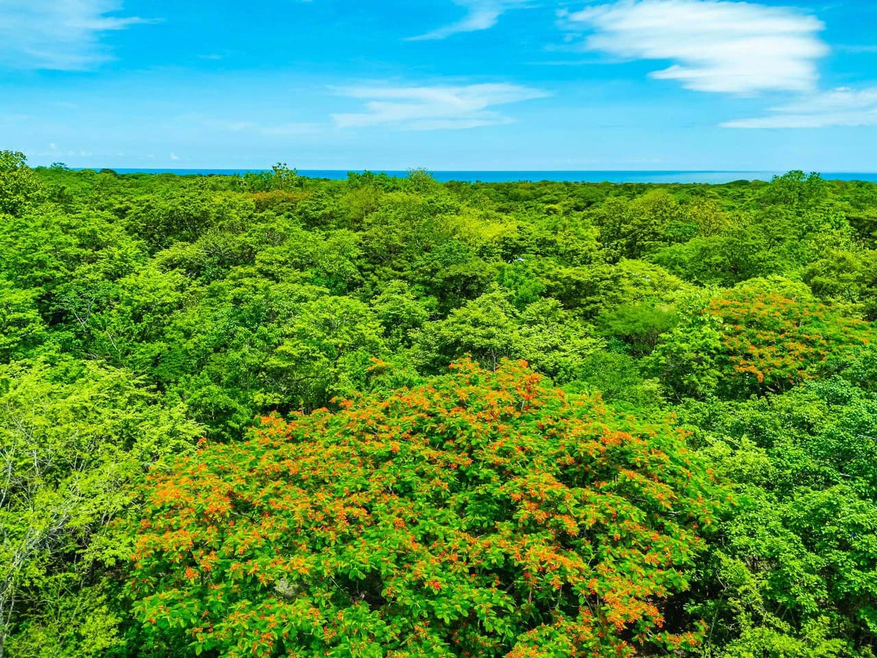 Adventure Meets Nature: Private 1.75acres Lot Minutes from Playa Negra - photo 13