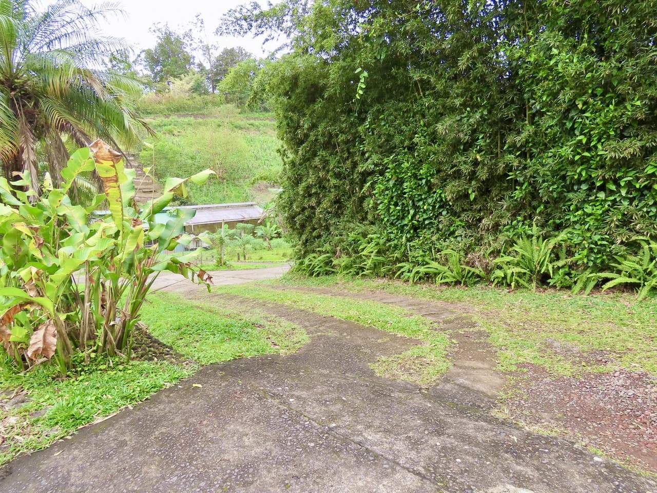 CASA TROPICANA - Lake View Oasis Near Nuevo Arenal - photo 65