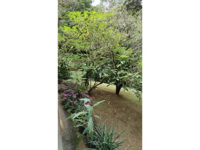Countryside, Lakefront and Mountain House For Sale in Arenal - photo 19