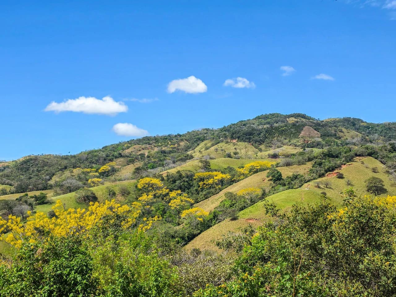 Mountain and Partial Ocean View Lot With Building Permits Approved - photo 4