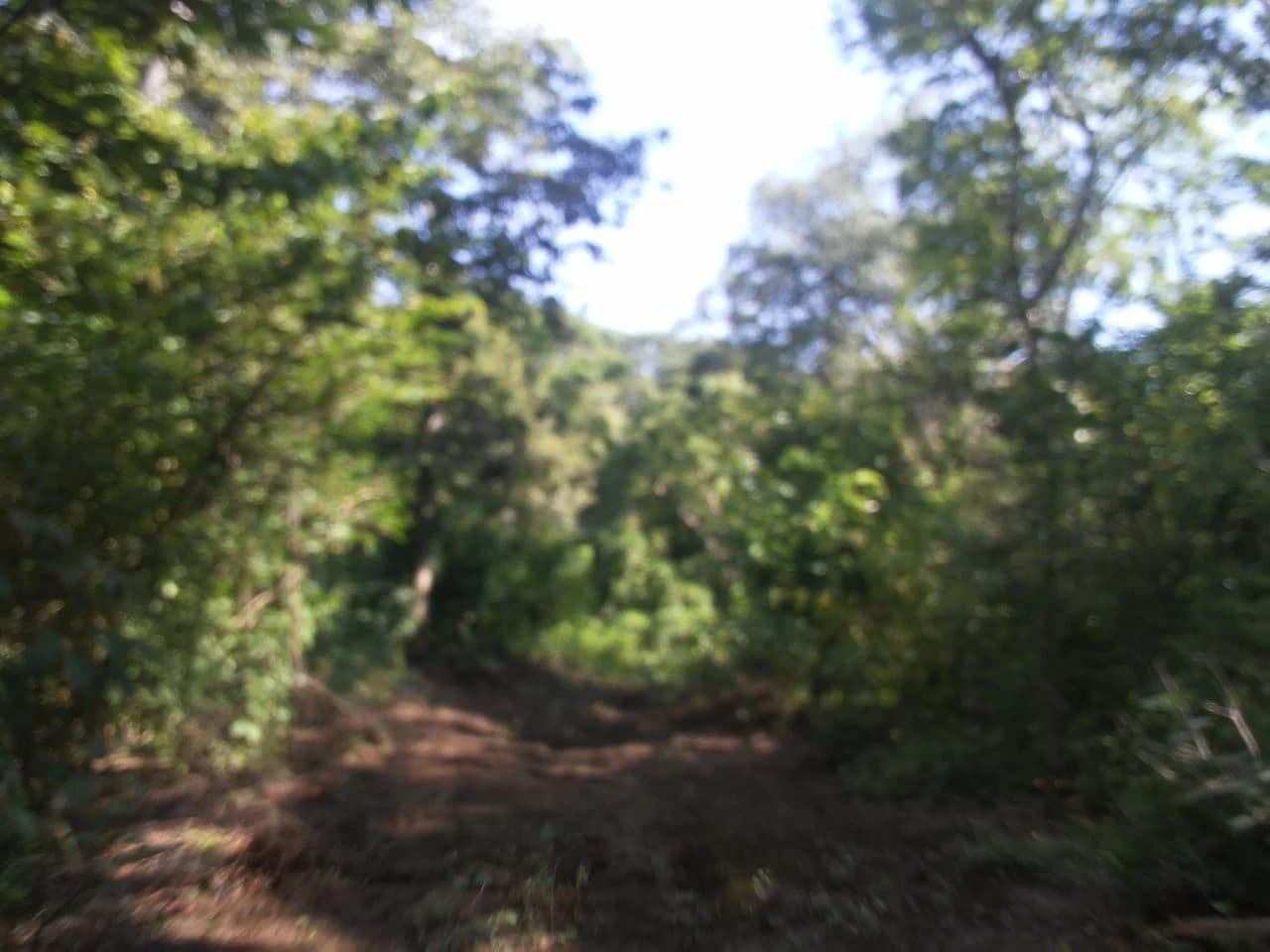 Large commercial property for sale in the Papagayo area, close to the Marina Papagayo or Four Season luxury hotel - photo 4
