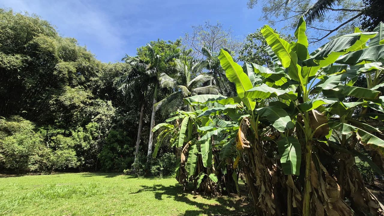 Dream Beachfront Property at Ballena Beach in Uvita, Costa Rica - photo 13