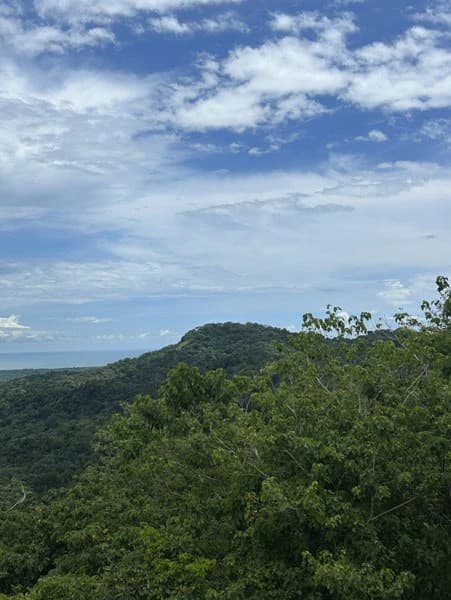 Panoramic 180 Degree Ocean View Lot Ready To Build Close To Ojochal - photo 49