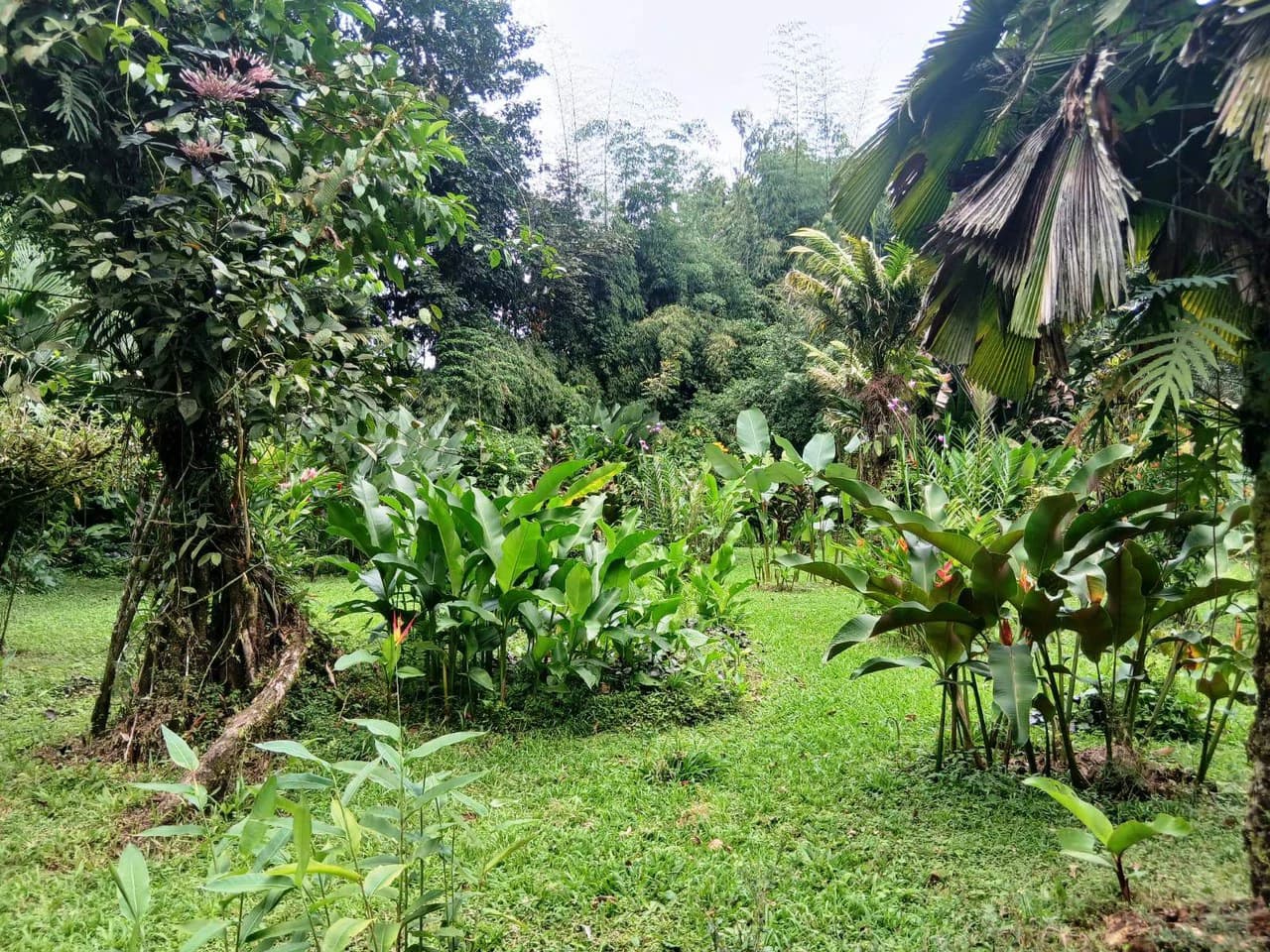 ECO TOURISM PARADISE: Turnkey Boutique Hotel in Nature! - photo 12
