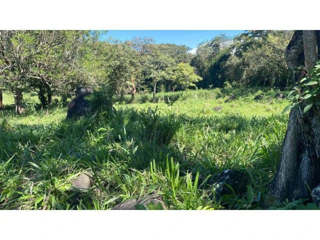 Nature Paradise Farm for sale in the mountains of Quebrada Grande, Building potential property 30 minutes away from Liberia - photo 29