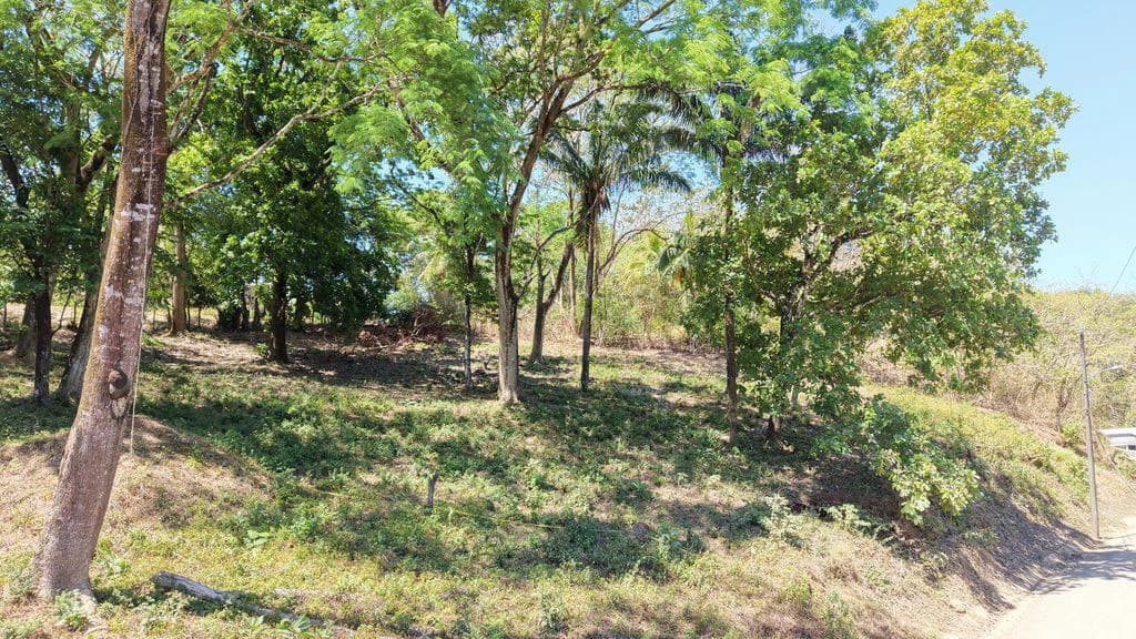 Lote Del Bosque: Buildable Lot with Mountain Views – Prime Location in Playa Carrillo - photo 7
