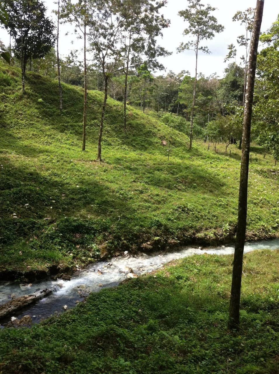 Hot and Cold Thermal Springs for Sale – Beautiful Property in Dos Ríos, Alajuela with Excellent Commercial Potential - photo 73