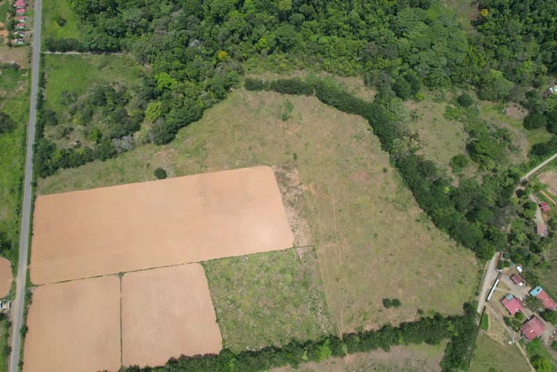 0.25 Acres Lots For Sale in La Amapola, Puerto Jimenez on Highway-245