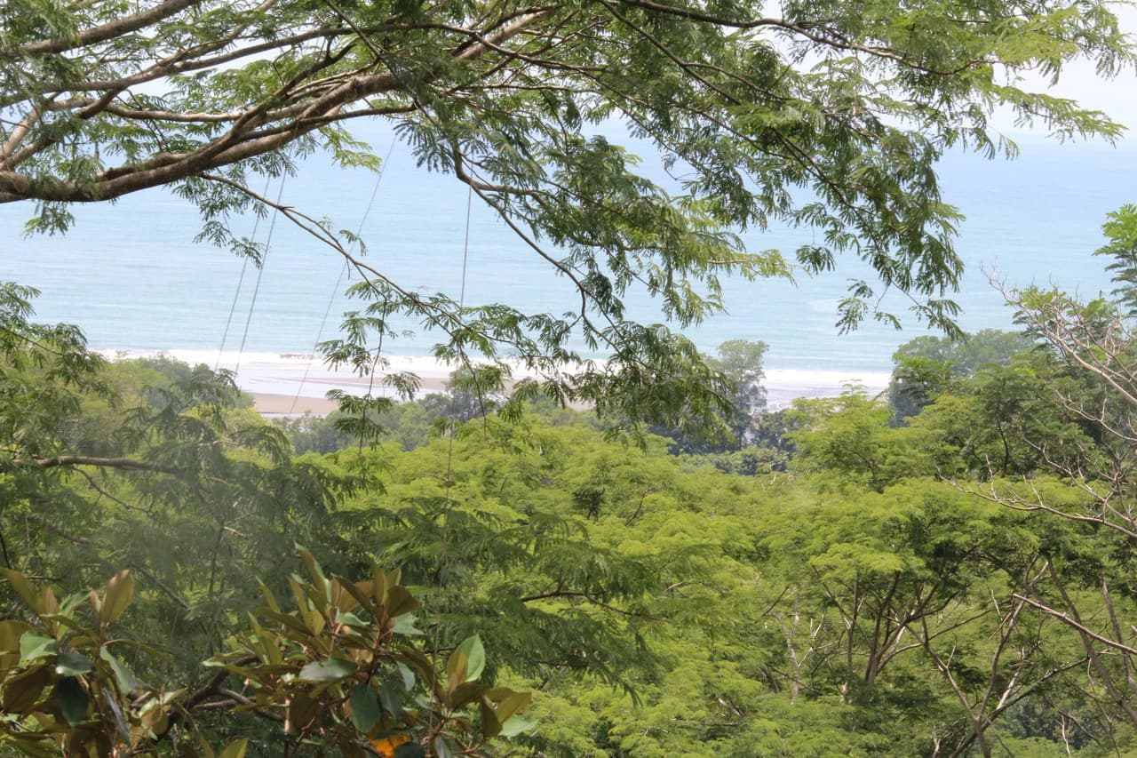 Whitewater Sunset Ocean View Lot Close to Dominical Beach - photo 21