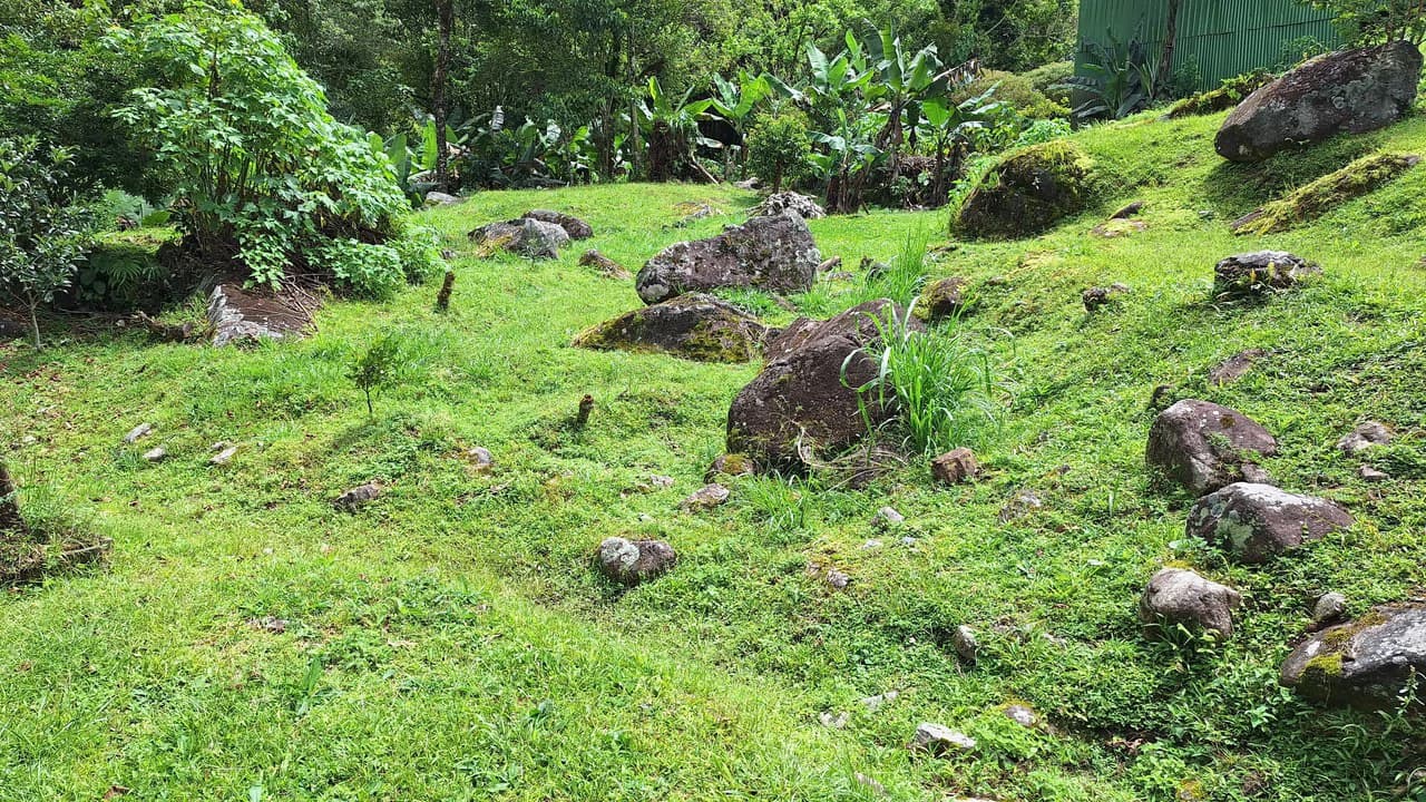 Propiedad en cedral: Mountain Home Construction Site For Sale in Cajón - photo 12