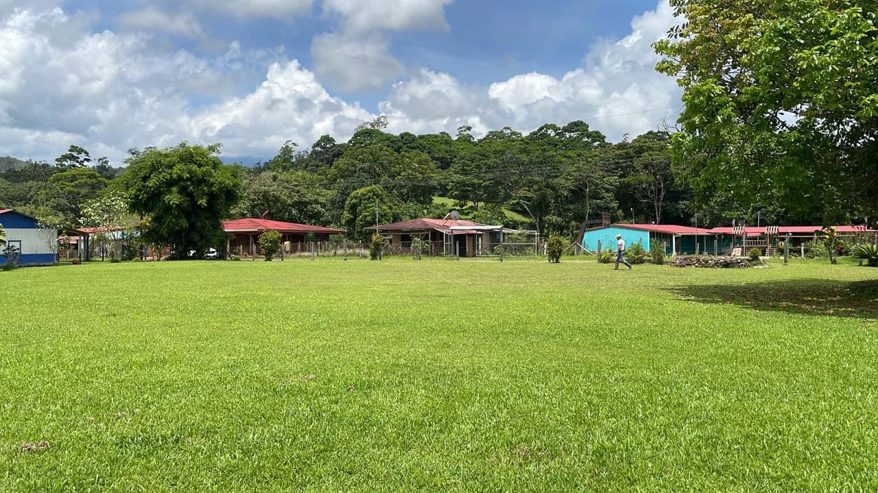 Mountain Agricultural Land For Sale in Bijagua - photo 42