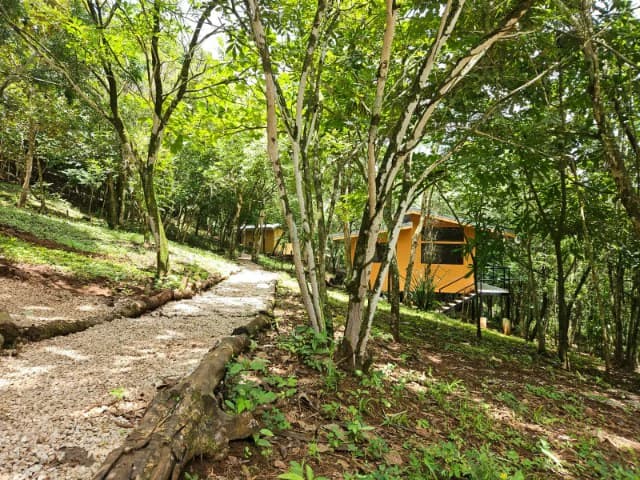 Nosara's Brand New Top Villas as a Business Opportunity in the dense forest of catchment area, 7 villas for sale in Costa Rica's Healthy Blue Zone - photo 19