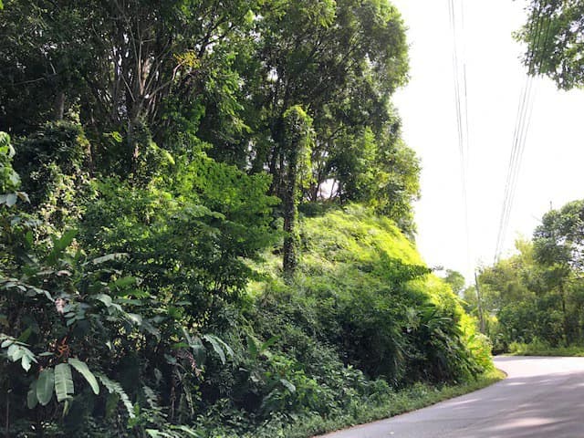 6.5 ACRES – Space To Grow, Build & Thrive, Close To The Beach & Commercial Potential Road Frontage!!!!!: Mountain and Countryside Development Parcel For Sale in Platanillo de Dominical - photo 6