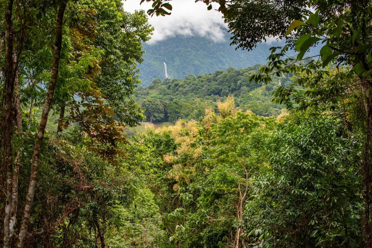 2.4 Acre Property In The Mountains Above Dominical with Waterfall Views - photo 11