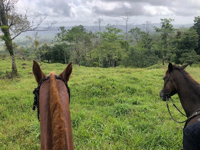 Hot and Cold Thermal Springs for Sale – Beautiful Property in Dos Ríos, Alajuela with Excellent Commercial Potential - photo 56