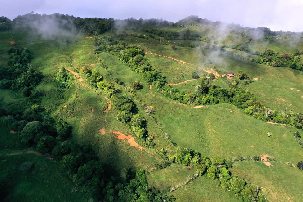 150 Acre Cattle Ranch with Panoramic Views Above the mountains of Uvita - photo 11