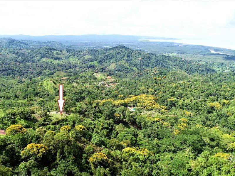 Captivating 3.15-Acre Property: Huge Pricedrop! Firesale Oceanview Lot in Tres Rios - photo 43