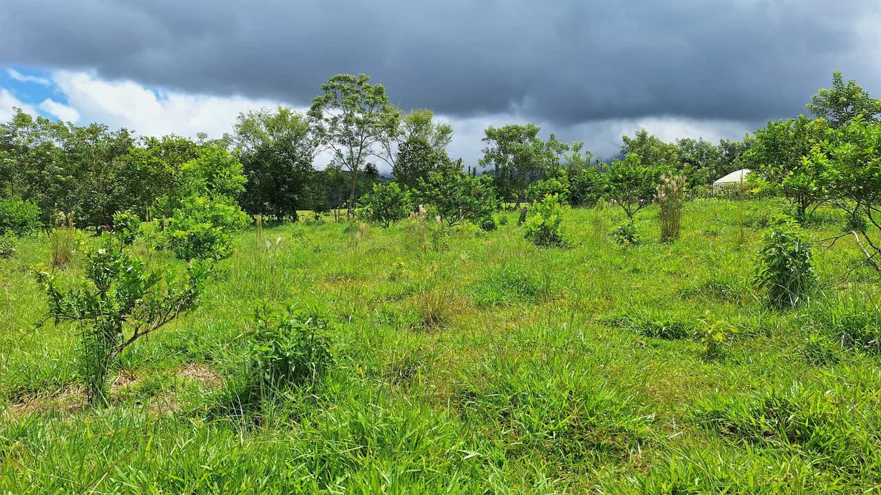 Se vende lote agrícola, en Cajón, Perez Zeledon.: Mountain Home Construction Site For Sale in Cajón - photo 19