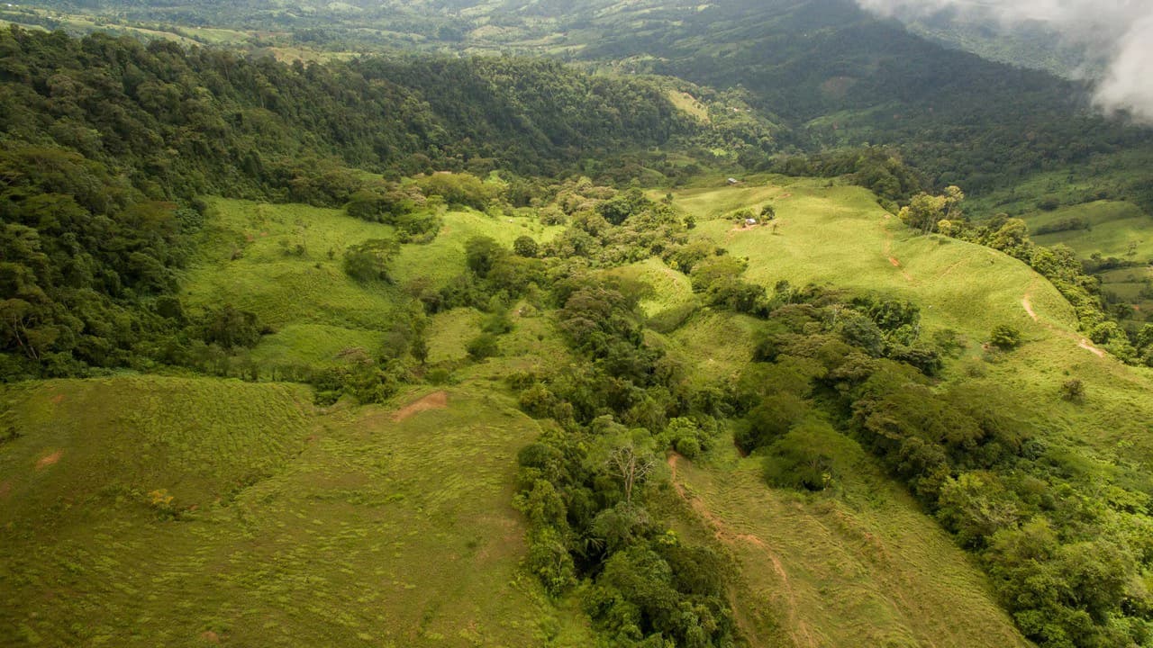 Off Grid 70-Hectare Farm with Stunning Ocean Views and Freshwater Springs - photo 26