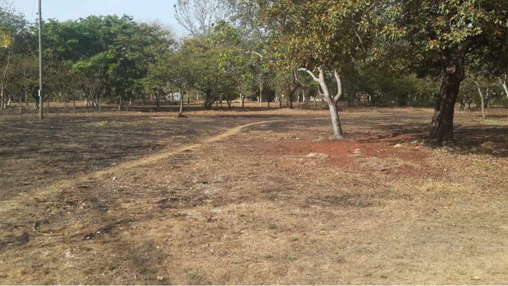 Building lots for sale in Cañas Dulces, flat land in a rural area near Liberia