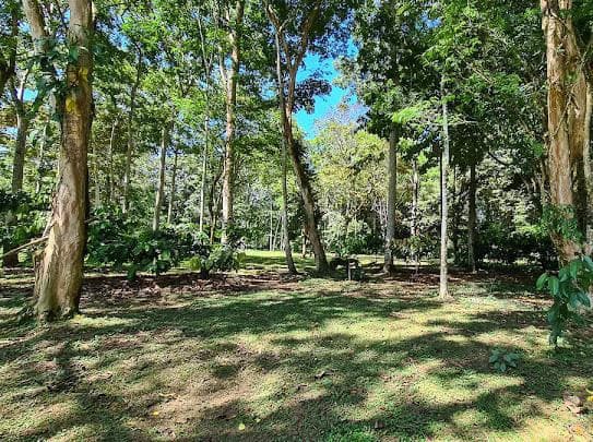 Cahuita Developer Lot - photo 2
