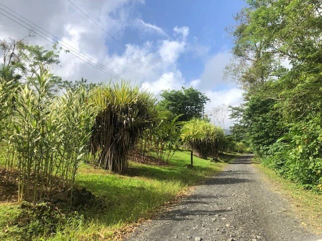 Hot and Cold Thermal Springs for Sale – Beautiful Property in Dos Ríos, Alajuela with Excellent Commercial Potential - photo 3