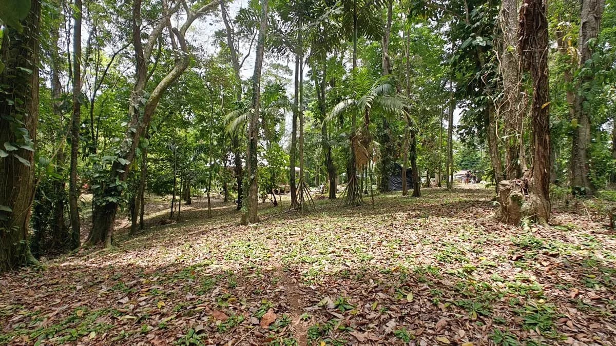 ID 1121: 1,979m² Titled Lot - Last Available Lot in Punta Uva Hills - Near Punta Uva Beach - photo 1