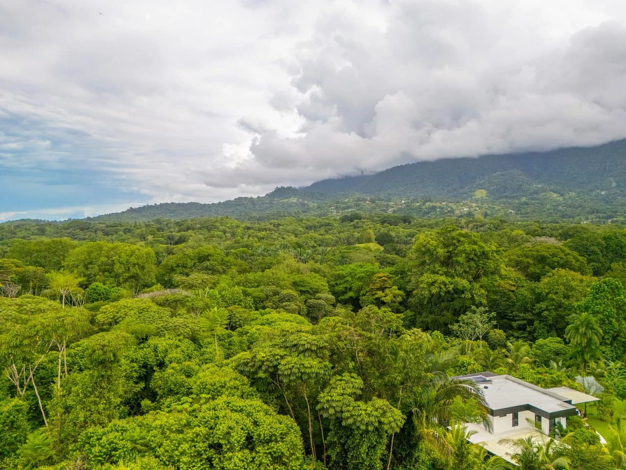Outstanding Garden Treasure in Ojochal, Modern 4 bedroom on 1 acre - photo 6
