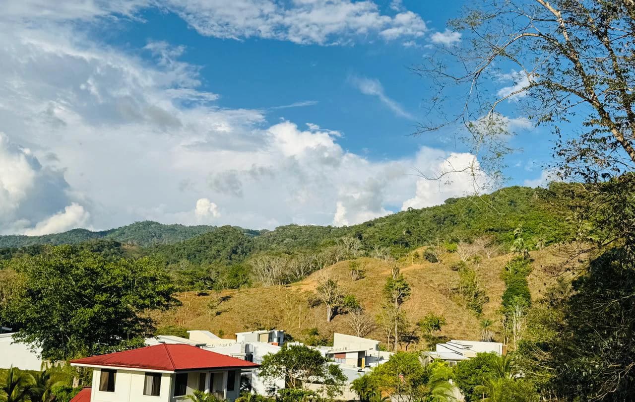 Finca Herradura: 82-Hectare Ocean View Development Land Near Los Sueños, Jacó - photo 13