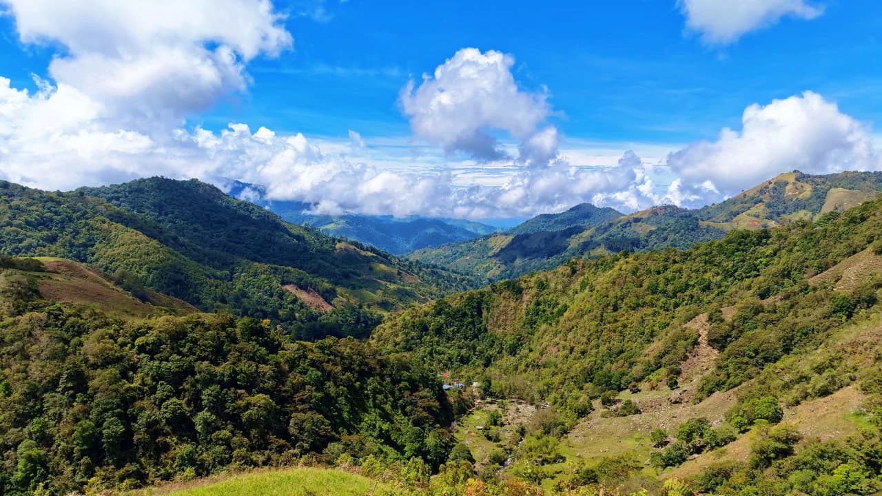 Mountain Agricultural Land For Sale in Herradura