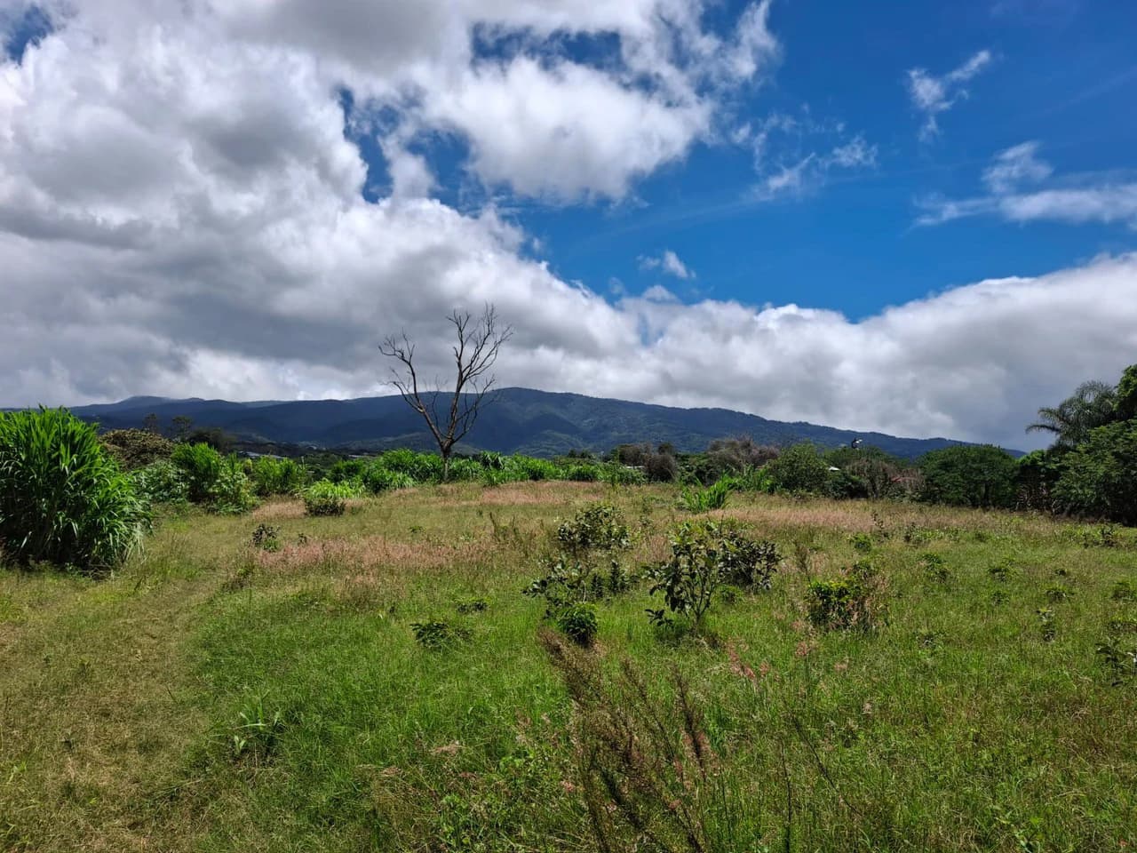 Flat Development Parcel: 4 ha Prime Flat Land - photo 5
