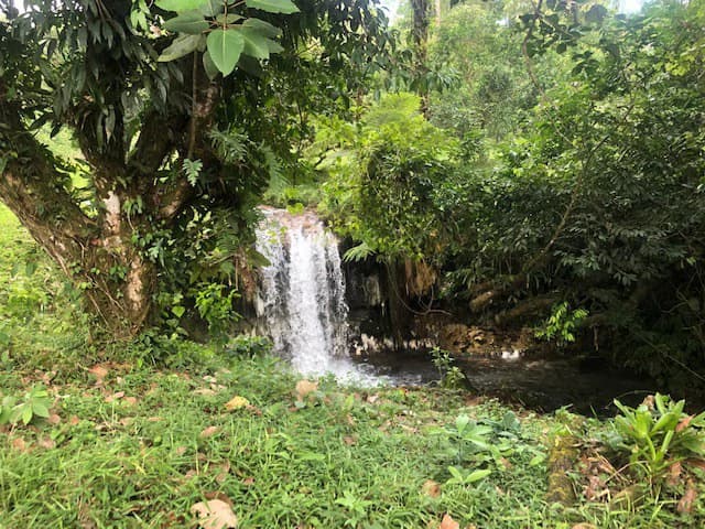 Hot and Cold Thermal Springs for Sale – Beautiful Property in Dos Ríos, Alajuela with Excellent Commercial Potential - photo 9