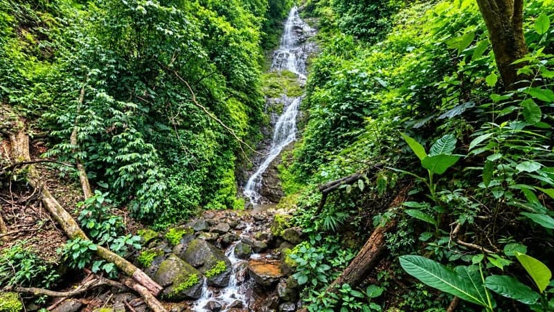 116-Hectare Finca for Sale Near Uvita with Whales Tail Views and 10 Waterfalls | La Faralla, Bahia Ballena, Uvita, Puntarenas, Costa Rica - photo 9
