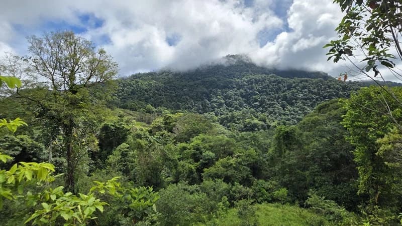 116-Hectare Finca for Sale Near Uvita with Whales Tail Views and 10 Waterfalls | La Faralla, Bahia Ballena, Uvita, Puntarenas, Costa Rica - photo 35