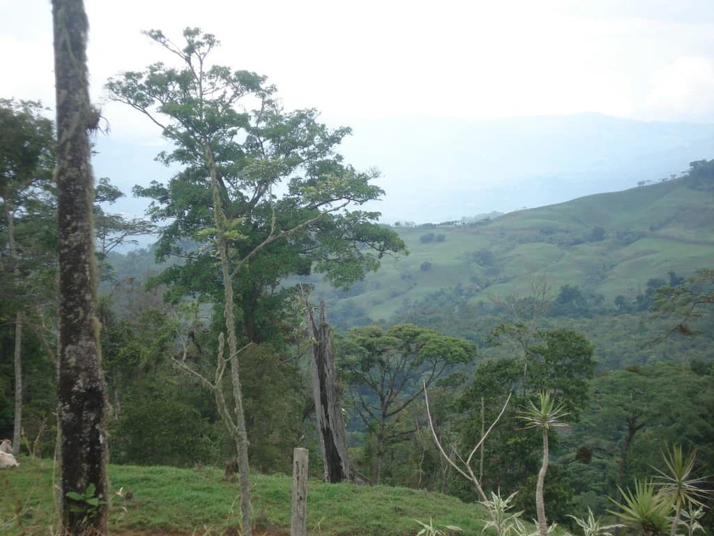 Stunning 17-Hectare Finca in Santa Elena - photo 5