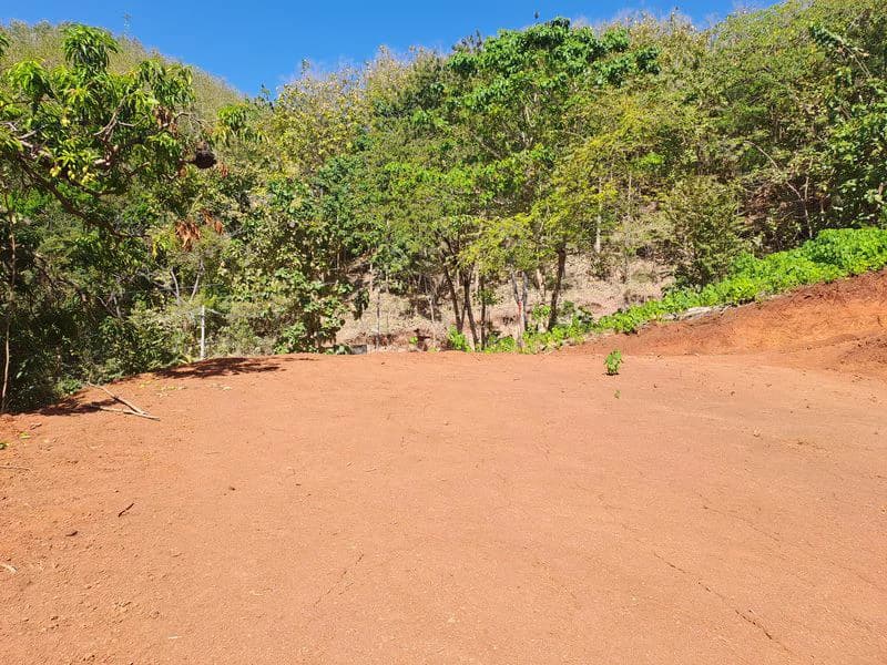 Lote Pacifico: Rare Ocean-View Parcel, Just Minutes from Samara Beach - photo 3
