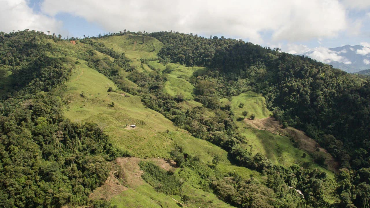 Off Grid 70-Hectare Farm with Stunning Ocean Views and Freshwater Springs - photo 7