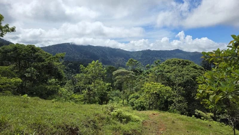116-Hectare Finca for Sale Near Uvita with Whales Tail Views and 10 Waterfalls | La Faralla, Bahia Ballena, Uvita, Puntarenas, Costa Rica - photo 30